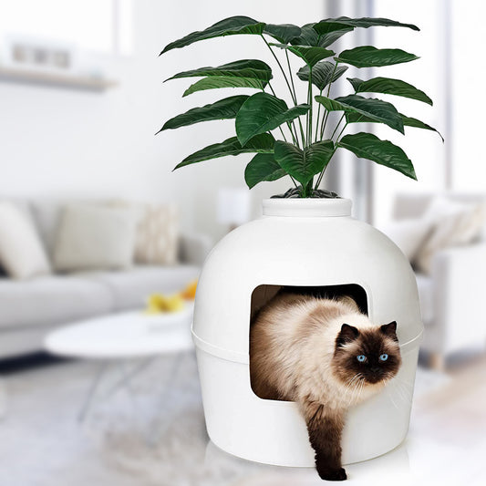 Green Plant Cat Nest